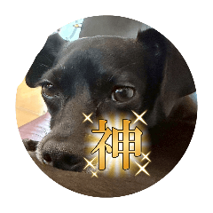 popo_20260624230159