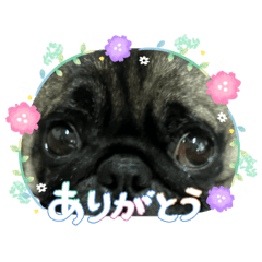 Yuka_20260624234029