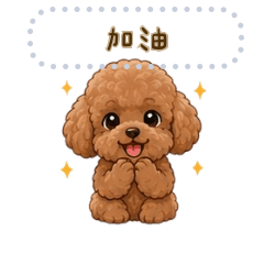 小小的玩具貴賓《訊息貼圖》