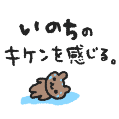 KIBISHII SUMMER