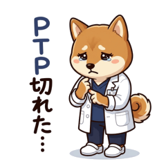 Working Shiba Inu Girl: Pharmacist Life