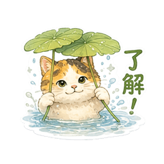 三花貓咪咪的玩水時光