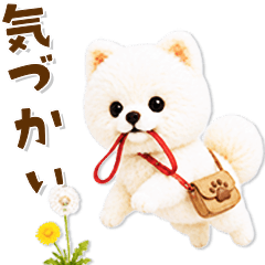 ずーっと一緒♡羊毛ポメの気遣い連絡