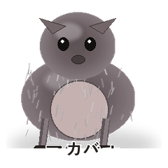 Hippo Soft Care
