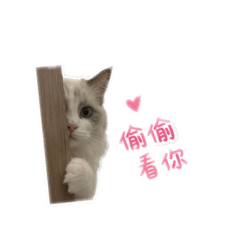 多多偷看❤️