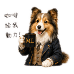 喜樂蒂牧羊犬上班日常