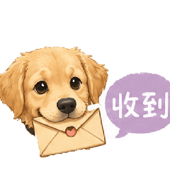 黃金獵犬小布丁
