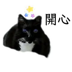 庫洛（洛）寶貝的日常2