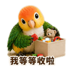 金頭凱克-今天也很乖（才怪）