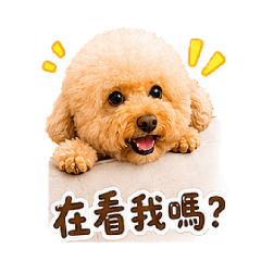 原來是小惡魔-劉球球