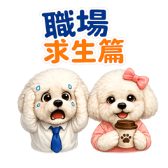 比熊犬職場求生篇