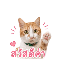 pukodee_20260629134110
