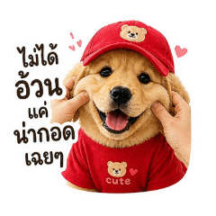 SEFUN_20260504145403