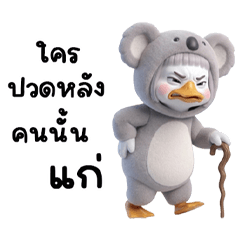 Chubby-cheeked goose in a koala costume