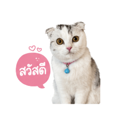 Snow and Momo V.2