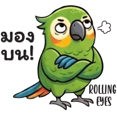 Lekky-Bird V1