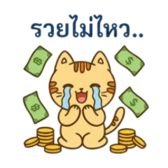 NooMetang_ Cup Cat's Daily