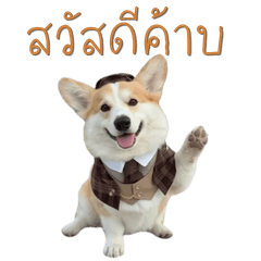 Cocosunson.Corgi