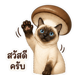 cat orinji