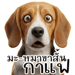 Cute, gentle, and sweet-11