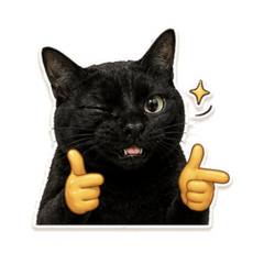 Cute cat black 2