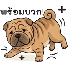 Lekky - Dog V3