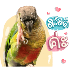 Sticker  1234#
