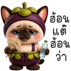 Mangosteen Kitty (Kum-muang)