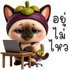 Mangosteen Kitty (THAI)