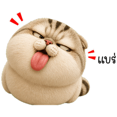 Mochi the Mischief Cat