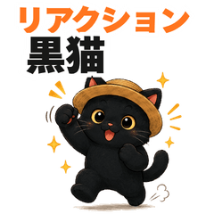 Reaction Expert Black Cat