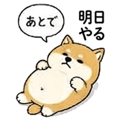 Lazy Shiba Mood