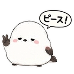 Lazy Shimaenaga