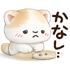A brown cat with a split face 2