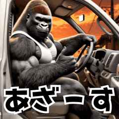 Gorilla x Light Truck! Here We Go!
