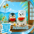 アザラシ