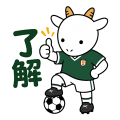 White Goat Soccer | Yoshigake Farm