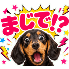 飛び出す！激しいリアクションダックス