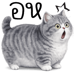 Oh hoh !!!