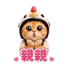小雞喵的日常用語