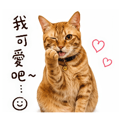 胖呷呷的超懶問候語
