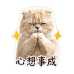 謝Momo