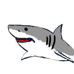Shark Shark Shark Everybody
