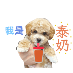 im thai tea
