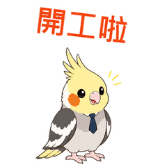 Animated Cockatiel: Office Survival