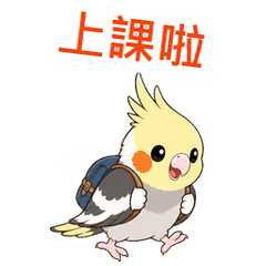 Animated Cockatiel: Campus School Life