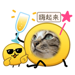 小bang讚 絨毛大海參