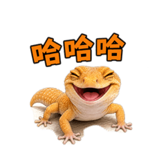 不正經事務所冠冠篇