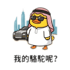 中東土豪鴨:鈔能力爆發