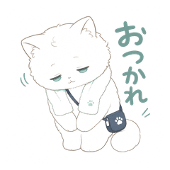 Night Skincare White Cat Notes